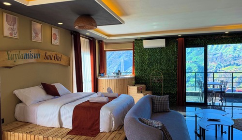 Business Suite, Mountain View