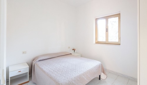 Economy Apartment