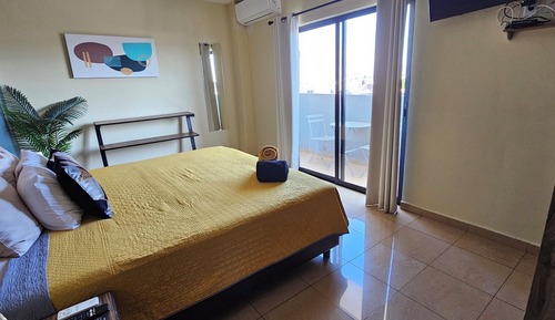 Basic Apartment