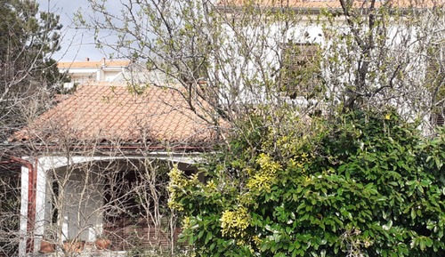 Apartment (One Bedroom Apartment with Terrace)