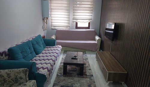 Basic Apartment