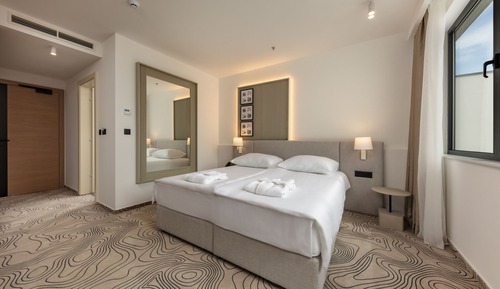 SUPERIOR DOUBLE ROOM PARK VIEW, WITHOUT BALCONY