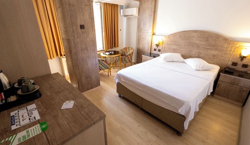 Standard Room, 1 Queen Bed, Mountain View