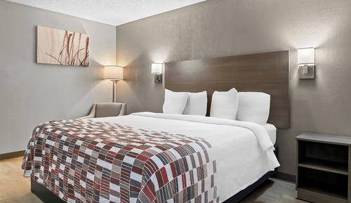 Deluxe Room, 1 King Bed, Non Smoking