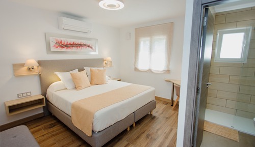 Comfort Double or Twin Room