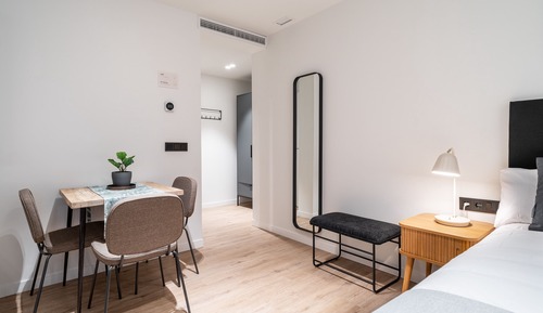 Studio with sofa bed