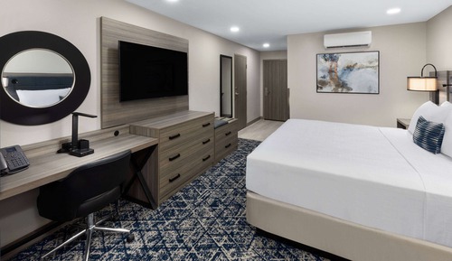 Deluxe Room, 1 King Bed, Non Smoking