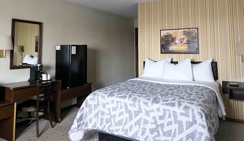 Standard Room, 1 Queen Bed, Non Smoking