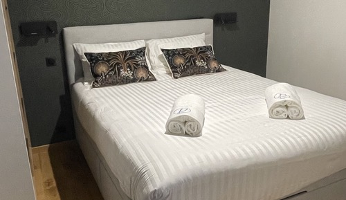 Premium Apartment