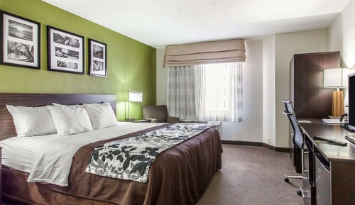 Standard Room, 1 King Bed, Non Smoking