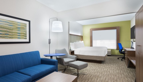 Suite, 1 King Bed with Sofa bed, Accessible, Non Smoking (Comm and Tub Accessible)