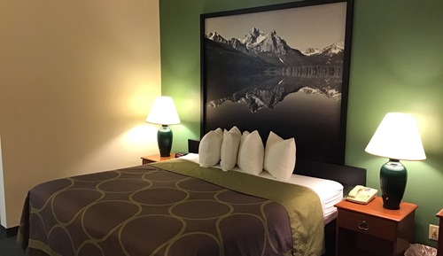 Room, 1 King Bed, Non Smoking