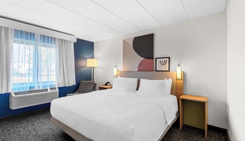 Room, 1 King Bed, Accessible (Roll-In Shower)