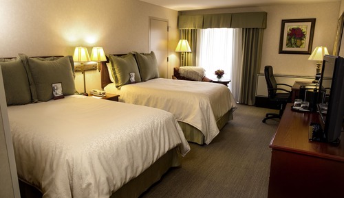 Standard Room, 2 Double Beds