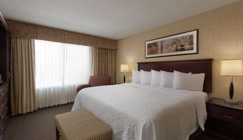 Two-Room Suite  1 King Bed NS