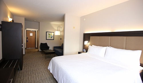 Suite, 1 King Bed with Sofa bed