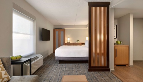 Room, 1 King Bed with Sofa bed (High Floor)