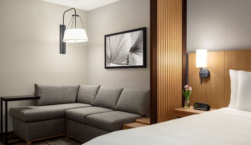 Room, 1 King Bed with Sofa bed