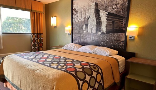 Room, Accessible, Refrigerator