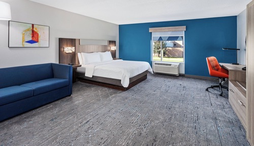 Standard Room, 1 King Bed, Mobility Accessible (Communications, Accessible Tub)