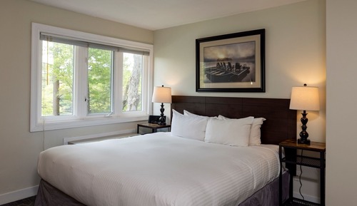 Suite, 1 King Bed with Sofa bed