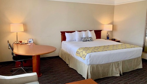 Suite, 1 King Bed, Non Smoking