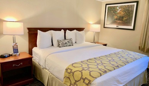 Room, 1 King Bed, Accessible, Non Smoking