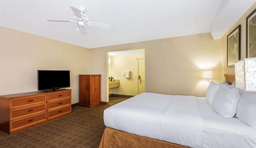 Deluxe Room, 1 King Bed, Non Smoking