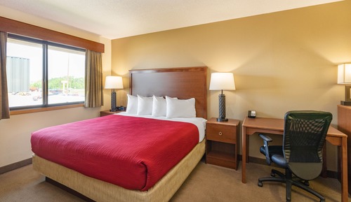 Room, 1 King Bed, Non Smoking