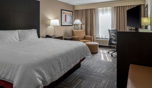 Room, 1 King Bed (Shower Only)