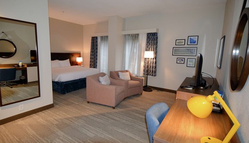 Room, 1 King Bed, Accessible (Roll-In Shower)