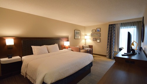 Room, 1 King Bed, Non Smoking, Refrigerator & Microwave