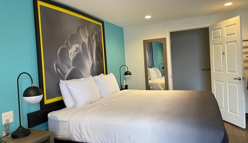 Room, 1 King Bed, Mobility Accessible, Non Smoking (Roll-in Shower)