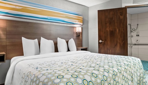 Studio, 1 King Bed, Accessible, Non Smoking (Roll-In Shower)