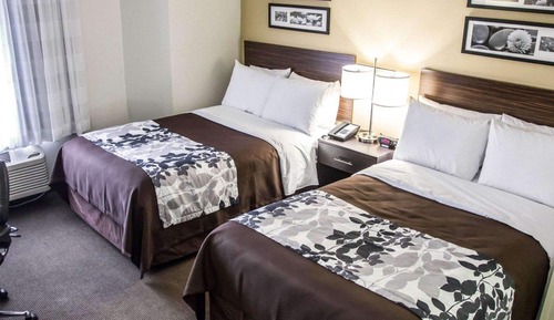 Standard Double Room, 2 Double Beds, Non Smoking