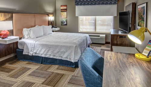 Room, 1 King Bed, Accessible, Bathtub
