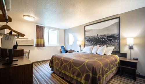 Room, 1 King Bed
