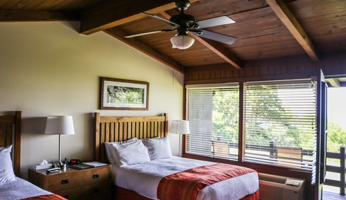 Traditional Room, 2 Queen Beds (Pet Friendly)