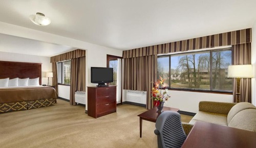 Studio Suite, 1 King Bed, Non Smoking