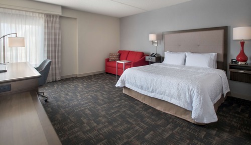 Room, 1 King Bed, Accessible, Non Smoking (Roll-in Shower)
