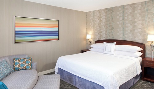 Room, 1 King Bed with Sofa bed (Hearing Accessible)