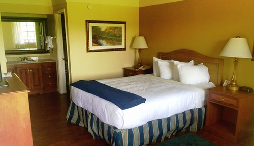 Room, 1 Queen Bed, Non Smoking