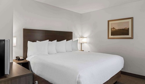 Room, 1 King Bed, Non Smoking