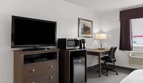 Room, 1 Queen Bed, Roll-in Shower, Non Smoking (Mobility Accessible)