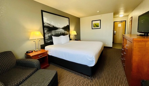 Standard Room, 1 King Bed, Non Smoking
