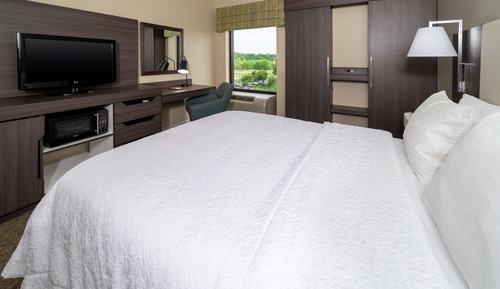 Room, 1 King Bed, Non Smoking