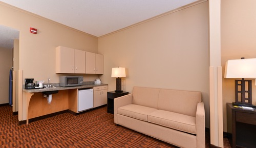 Suite, 1 Queen Bed, Accessible (Roll-In Shower)