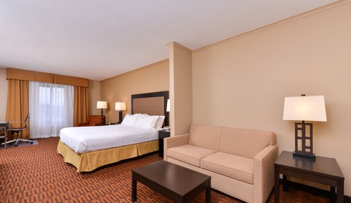 Suite, 1 Bedroom (1 Kng, Sofa Bed, Bth Shwr)