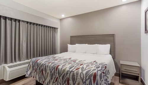 Superior Room, 1 King Bed, Non Smoking