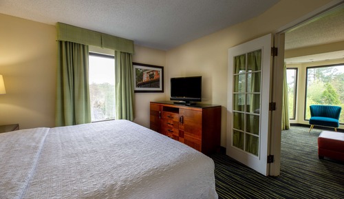Suite, 1 King Bed, Refrigerator & Microwave, Lake View